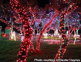 A Texas-sized display