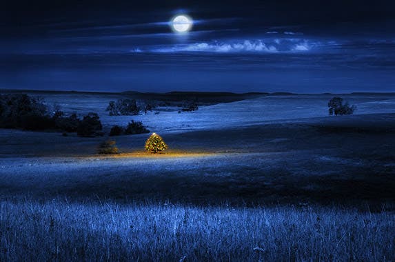 Kansas © Ricardo Reitmeyer/Shutterstock.com