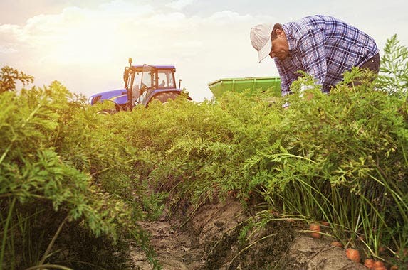 Farmers, ranchers, agricultural managers Farmers, ranchers, agricultural managers | Avalon_Studio/Getty Images