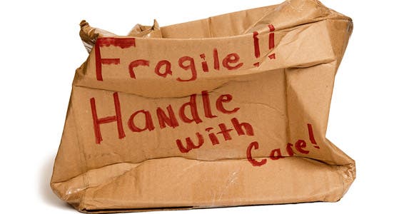 Make sure it's insured © Carolyn Franks/Shutterstock.com