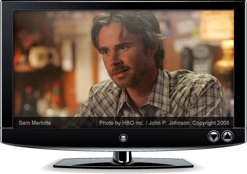Sam Merlotte of True Blood