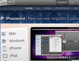 Use a password manager