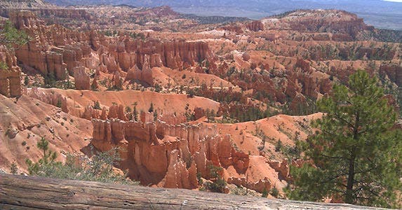 Tonya Banks and her family took a road trip in 2014 to Zion National Park in Utah (pictured), Mount Rushmore and several other places. Photo courtesy of Tony Banks