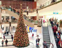 Retail, the default holiday job