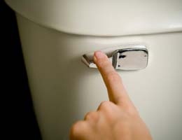 The tale of the ... wallet flusher The tale of the ... wallet flusher