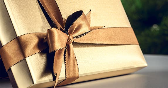 Give the best gift under the tree © Volodymyr Goinyk/Shutterstock.com