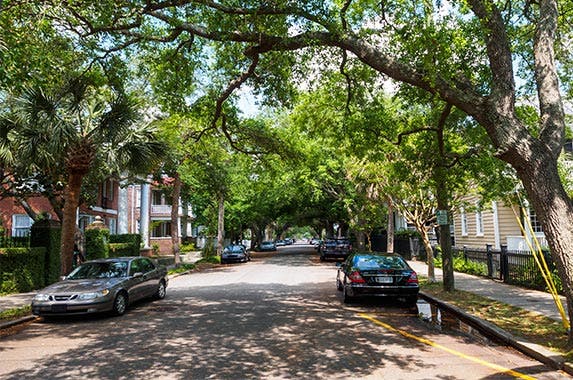 South Carolina South Carolina | Brandon Rosenblum/Getty Images