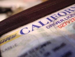 Never go on a trip with an expired license Never go on a trip with an expired license