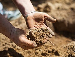 Soil conservation © forestpath/Shutterstock.com