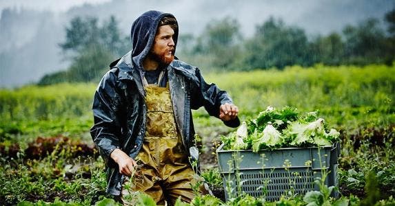 Will your pay get better next year? See what experts say Man picking lettuce in farm | Thomas Barwick/Getty Images