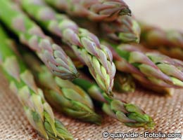 What's on sale in March What's on sale in March