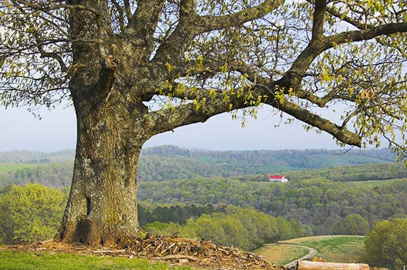 Arkansas © George Burba/Shutterstock.com