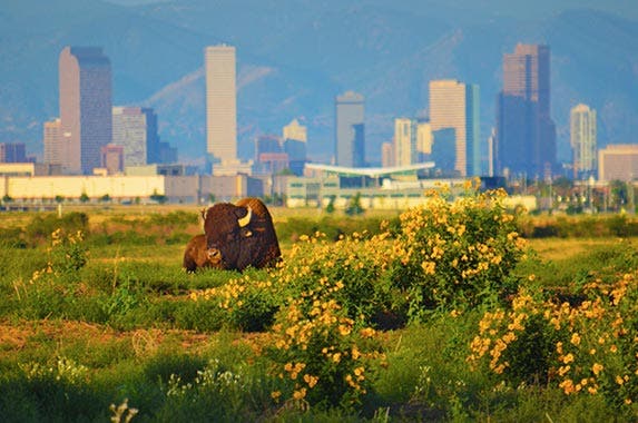 Denver Denver | moosebitedesign/Moment/Getty Images
