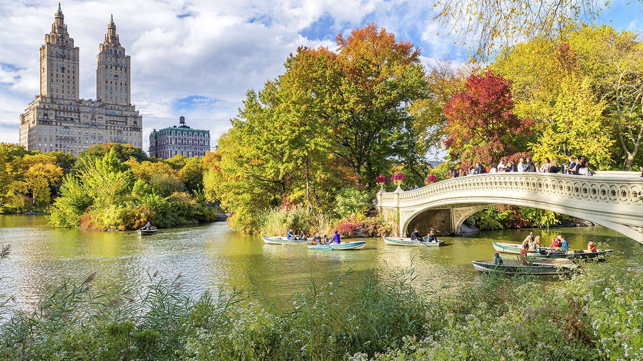 Central Park