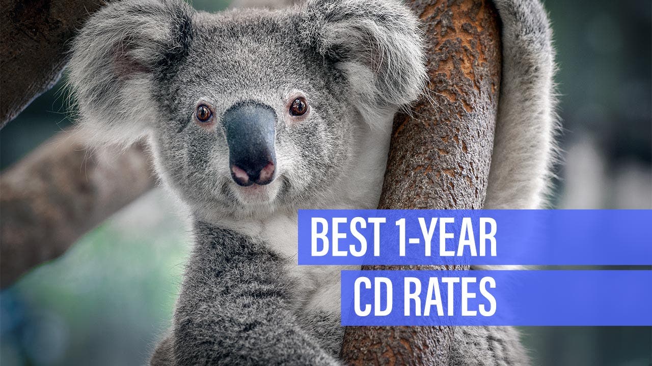 Highest 1 Year Cd Rates