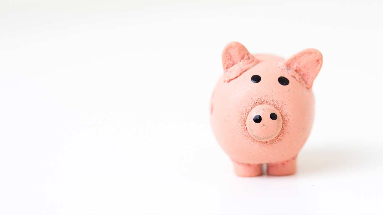Piggy bank in pink with white background