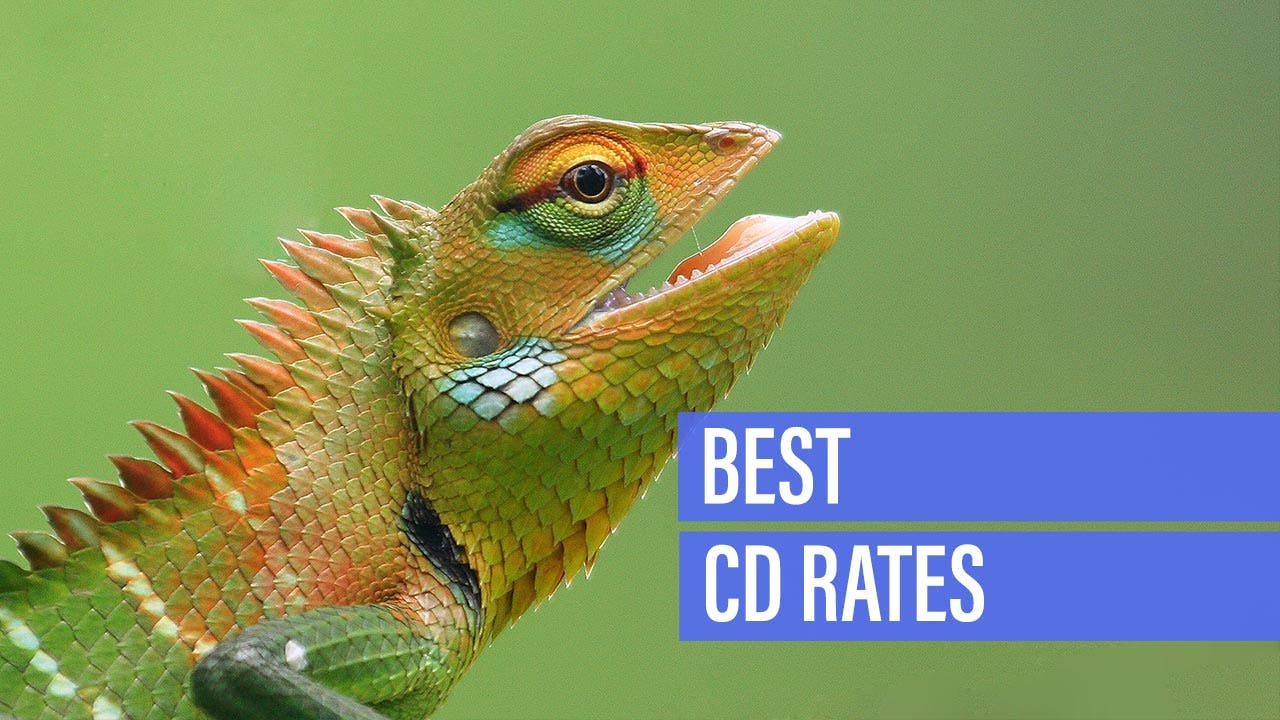best cd ladder for rising interest rates