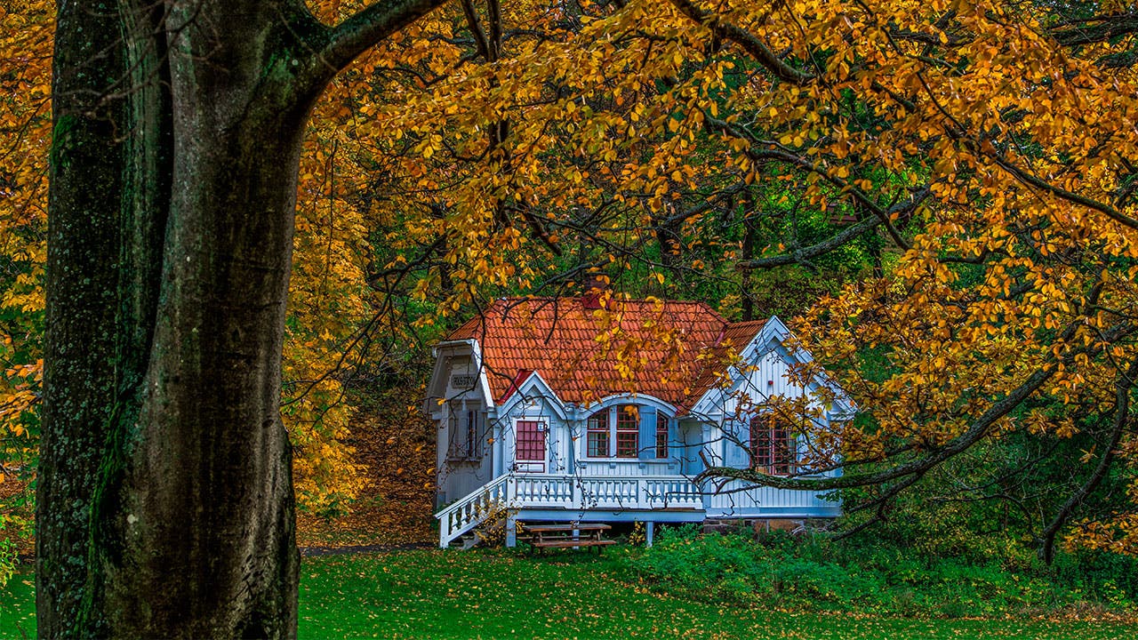 House in the woods in Fall