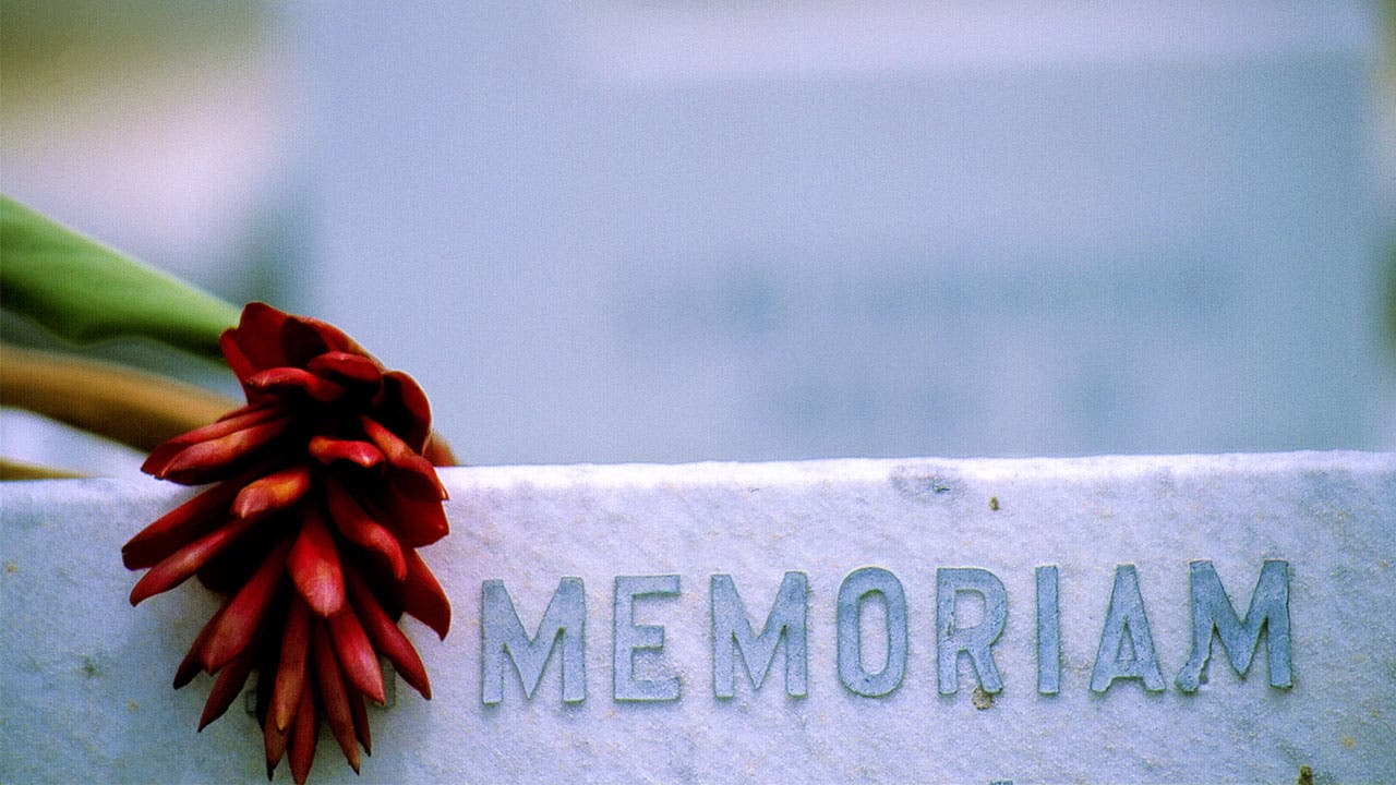Ginger flower on tombstone