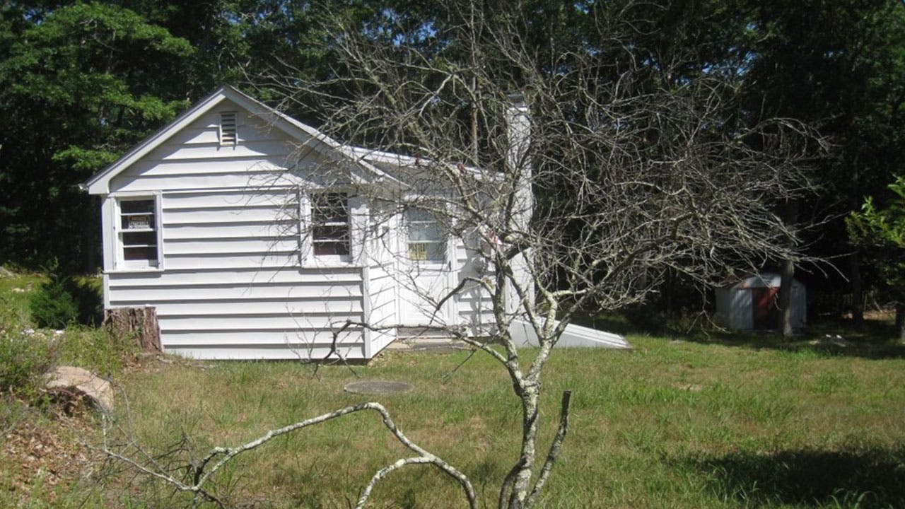 Tiny house in the Hamptons