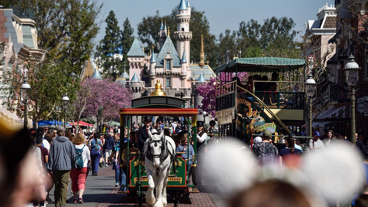 Horse drawn carriage in Disneyland