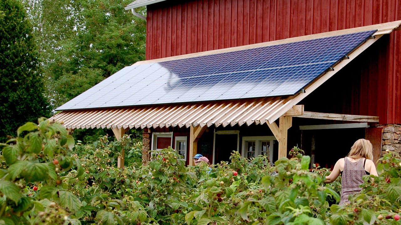 Solar panels on roof
