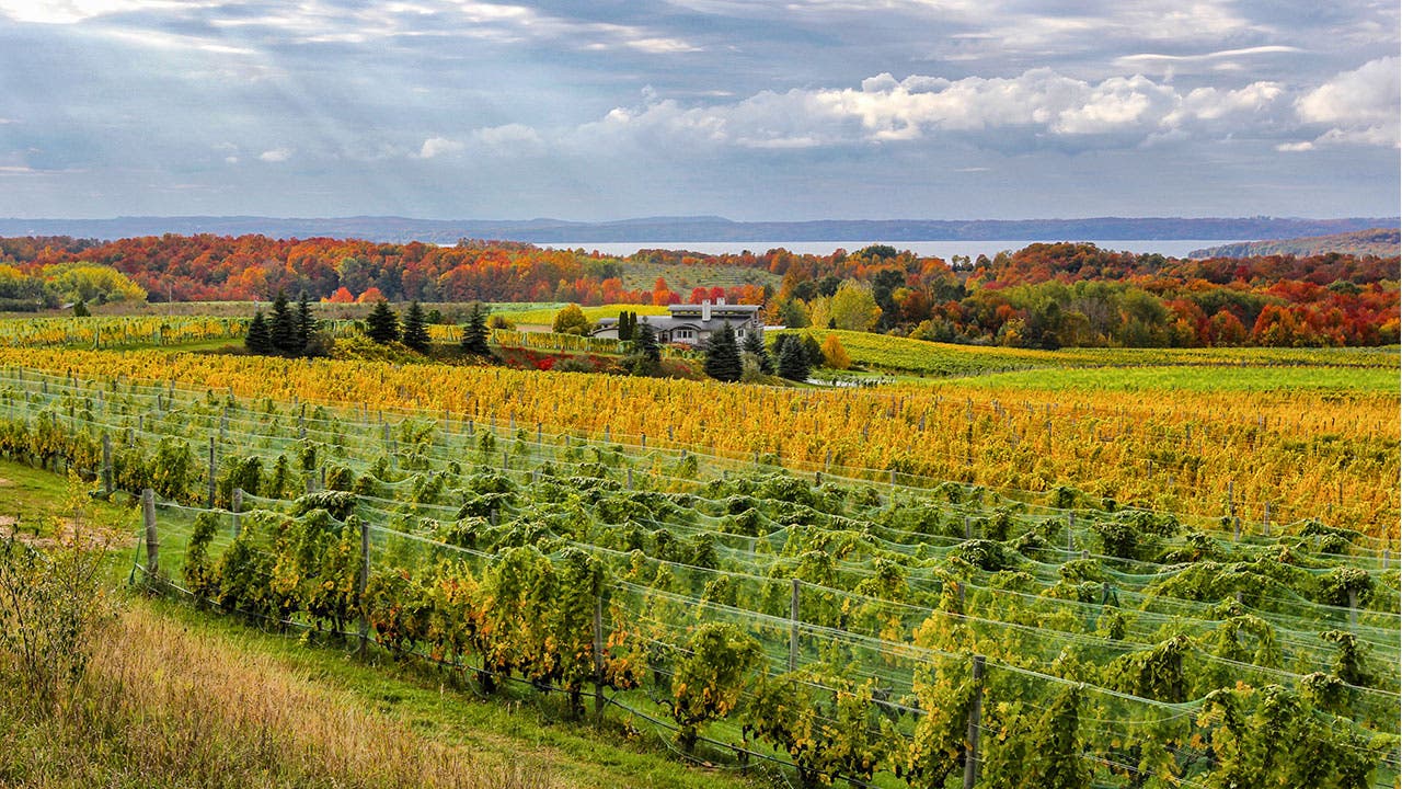 Michigan farmland