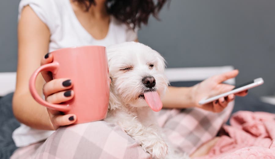 U S Bank Cd Rates Bankrate